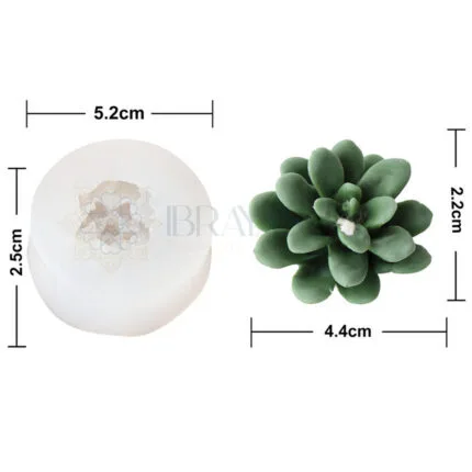 Succulent flower mold