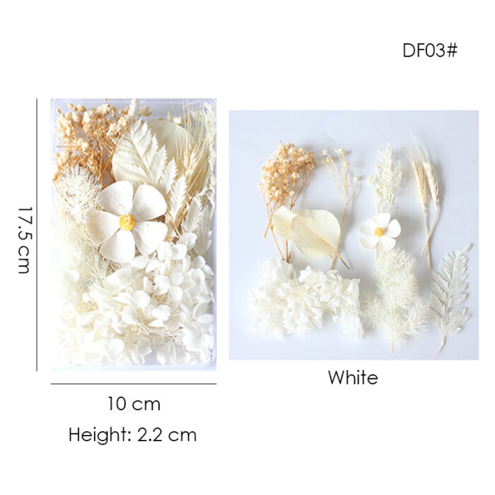Flowers DF038