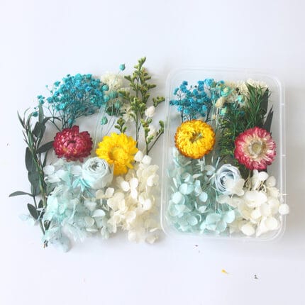 FLOWERS DFR01-5