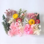 FLOWERS DFR01-6# Pink